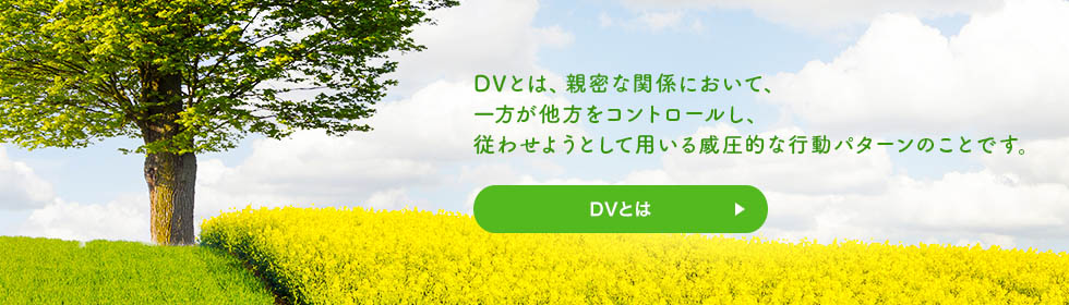 DVとは