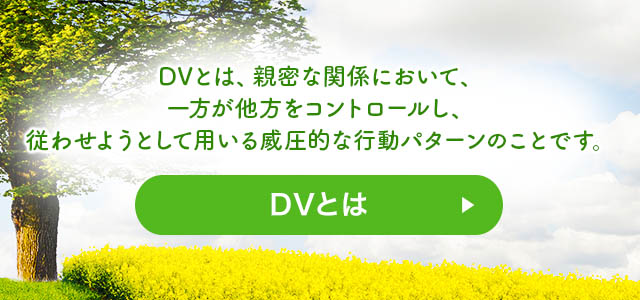 DVとは