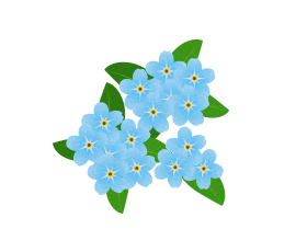 DVでお困りの方へ